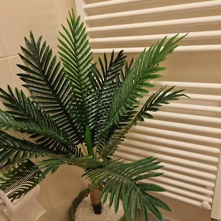 Apartamento Traian Mosoiu , Parcare Proprie