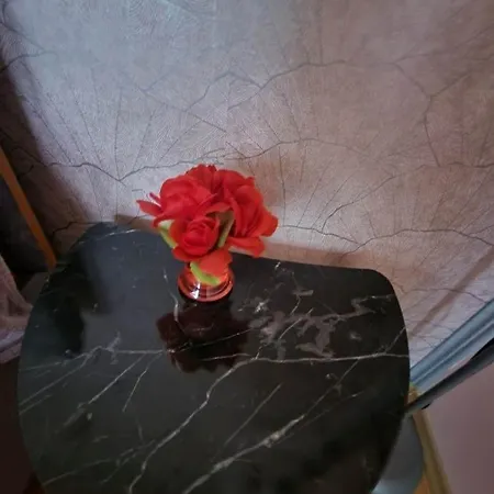 Traian Mosoiu , Parcare Proprie * Cluj-Napoca