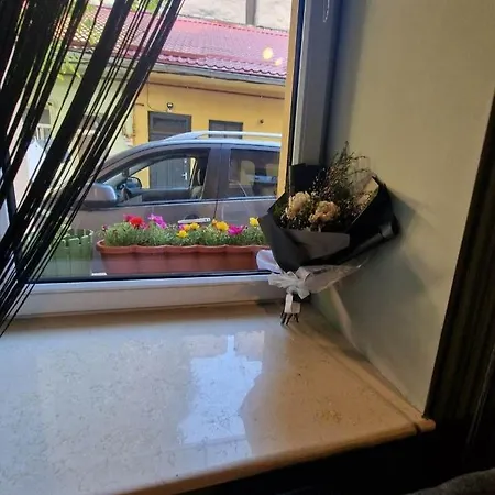Traian Mosoiu , Parcare Proprie Lägenhet *