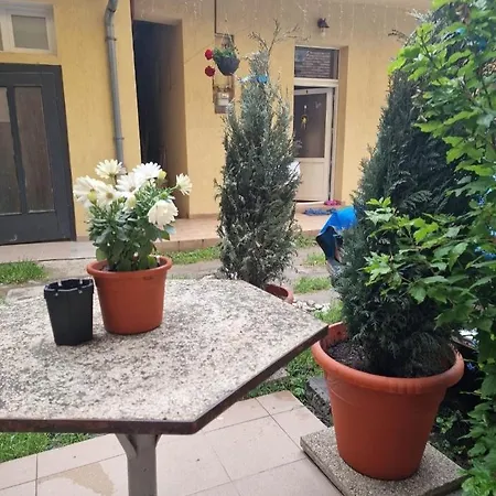 Traian Mosoiu , Parcare Proprie * Cluj-Napoca