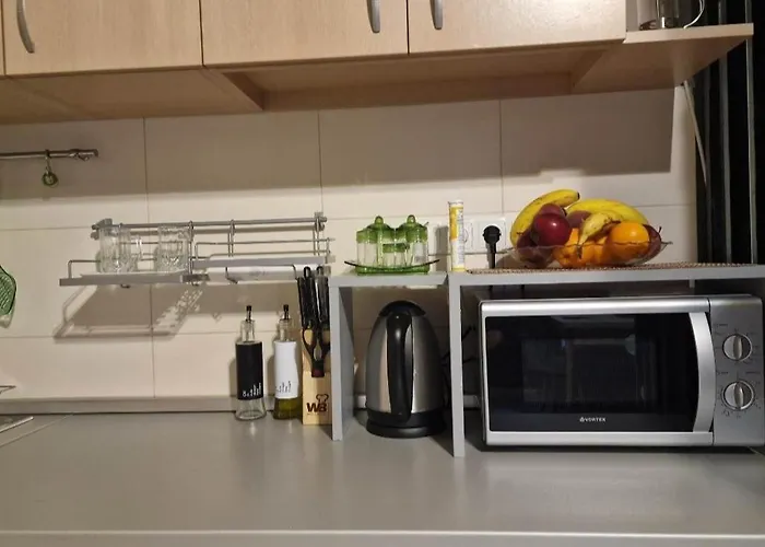 Traian Mosoiu , Parcare Proprie דירה *