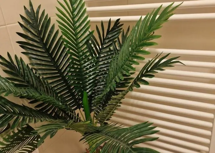 Apartman Traian Mosoiu , Parcare Proprie