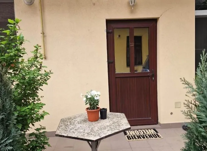 Traian Moșoiu , Parcare Proprie