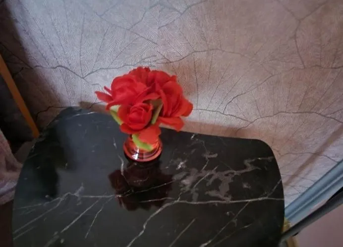 Traian Mosoiu , Parcare Proprie * קלוז'-נאפוקה