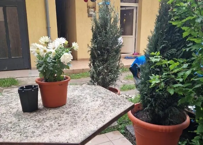 Traian Mosoiu , Parcare Proprie * Kolozsvár